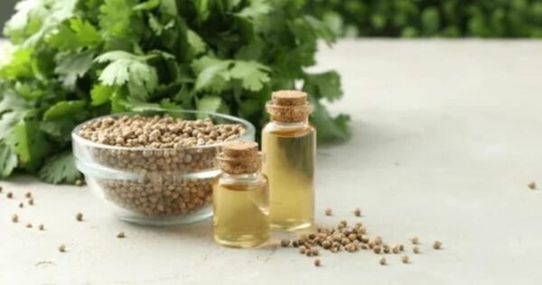Coriander Extract Oil - Image 2