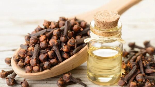 Clove Extract Oil - Image 3