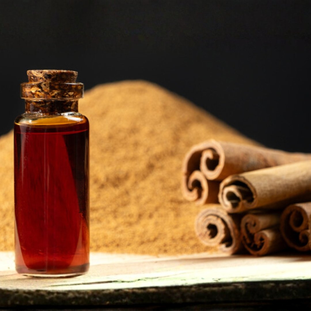 Untitled design (14) Cinnamon Extract Oil - Image 1