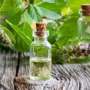Basil Extract Oil