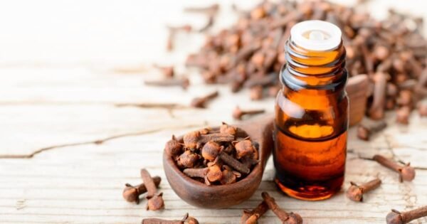 Clove Extract Oil - Image 4